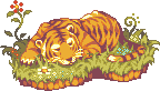 tigre dormindo